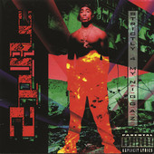 2Pac | Strictly 4 My N.I.G.G.A.Z.