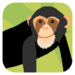 Animal Colours - Black (Interactive animal flashcards for babies and y